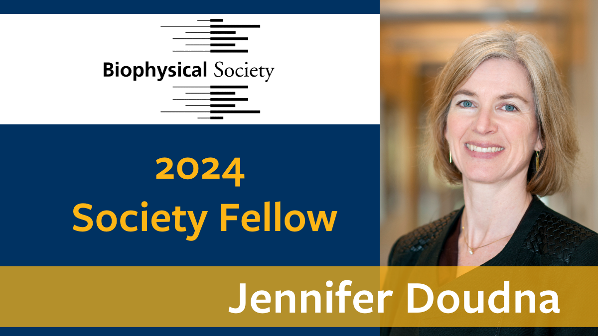 Doudna named 2024 Biophysical Society Fellow