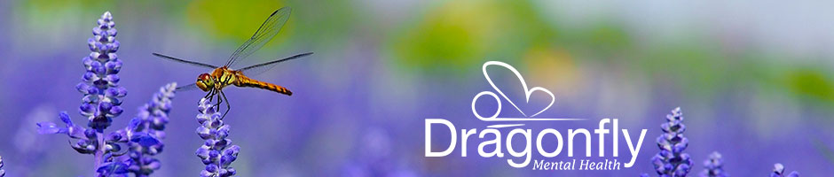 Dragonfly banner