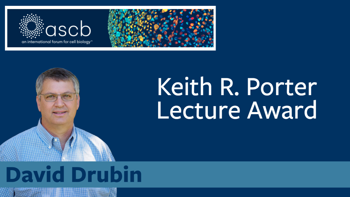 Drubin ASCB Keith Porter Award
