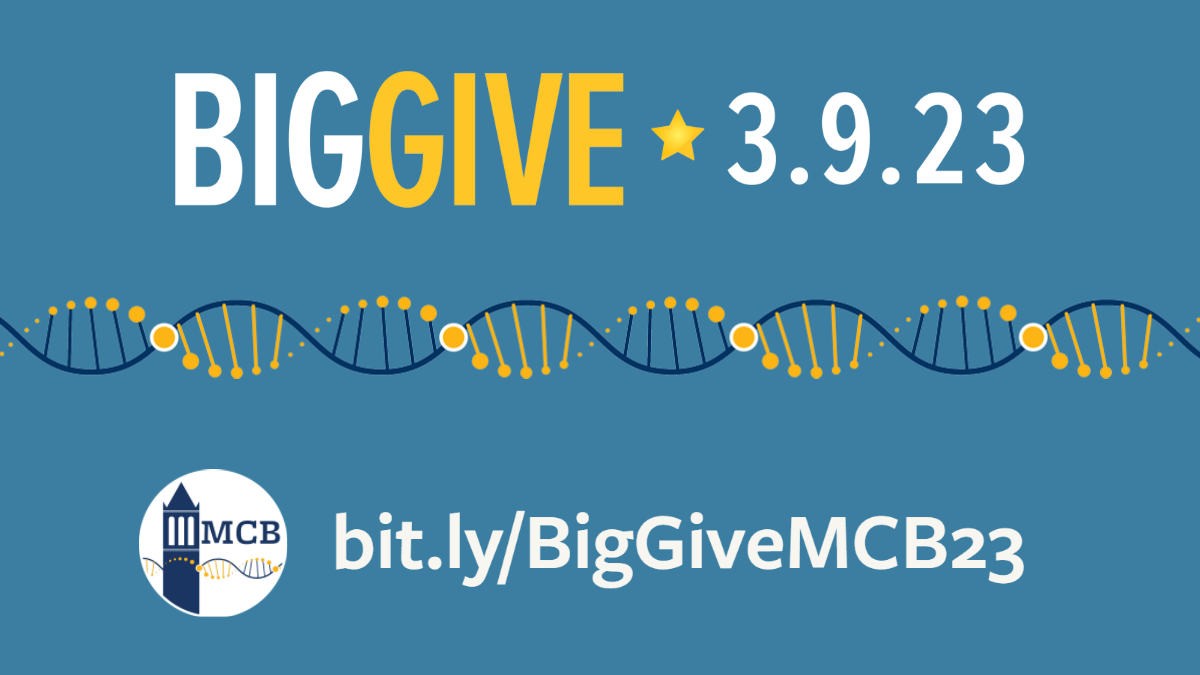 Big Give 3.9.23