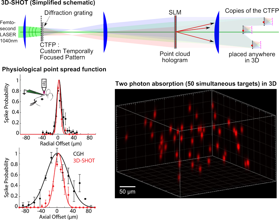 Figure shows the setup, typical hologram with multiple targets, and the Physiological point spread function.