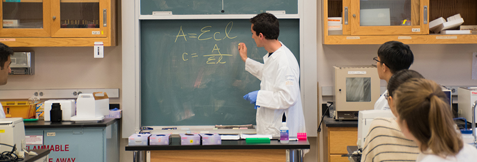 Blackboard instruction during CRISPR course.