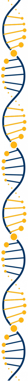 Blue and gold double helix cartoon