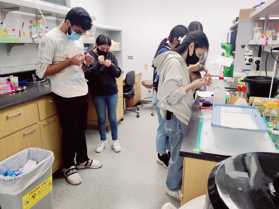 RPRP students in the lab