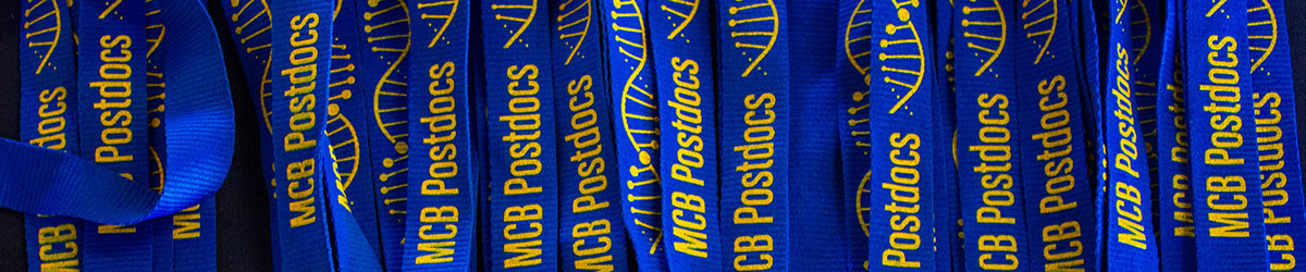 Postdoc lanyards