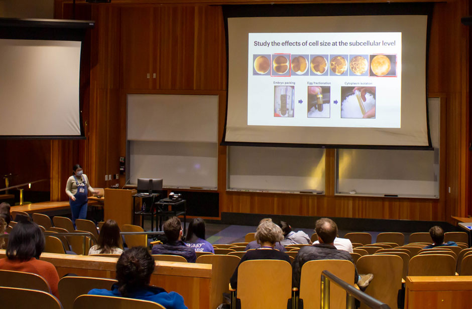 Postdocs Showcase talk