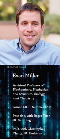 Evan Miller