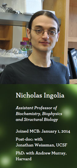 Nicholas Ingolia