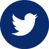 Twitter bird icon