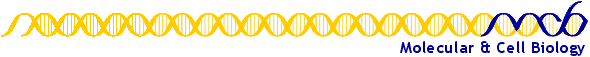MCB LOGO