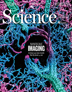 Science magazine front cover