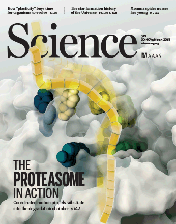 Proteasome in Action