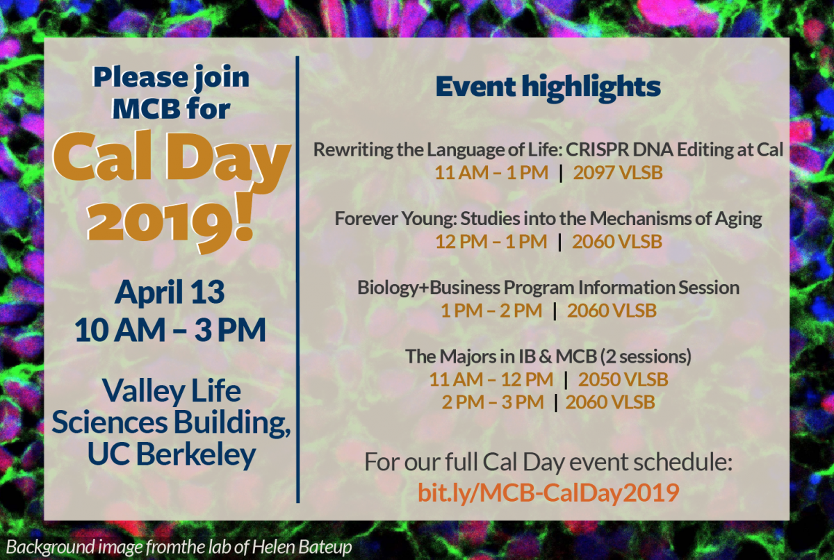 Cal Day 2019 flyer