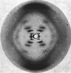x-ray crystallography from Franklin's research (Raymond Gosling/King's London)
