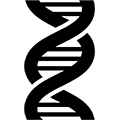 DNA Strand graphic