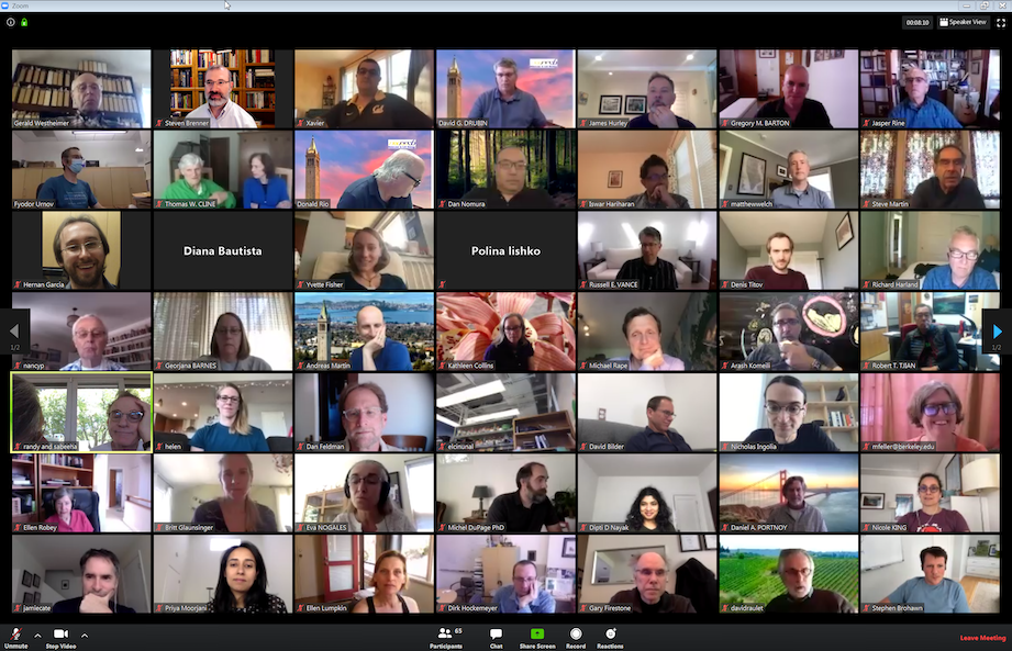 Zoom screen shot of MCB All Faculty Meeting