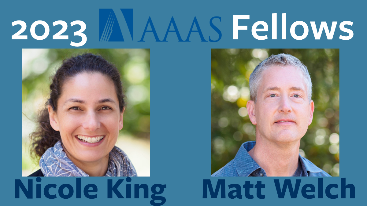 King and Welch elected fellow of AAAS