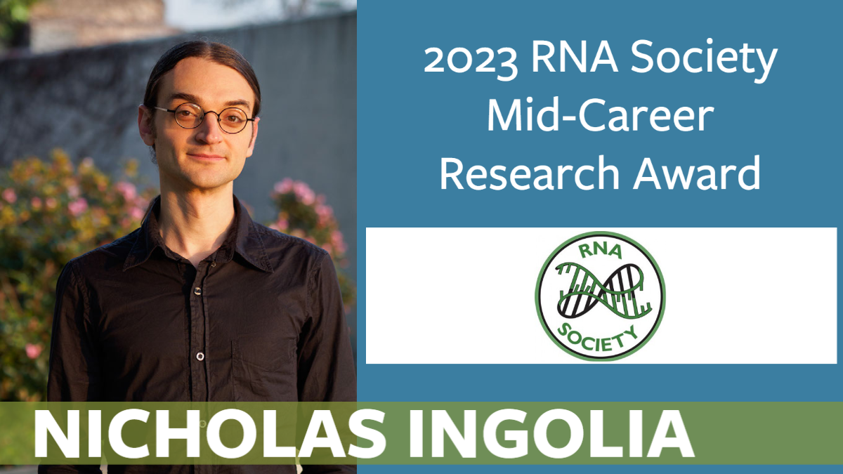 Ingolia RNA award