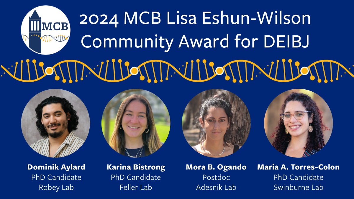 Lisa Eshun-Wilson Community Award Recipients 2024