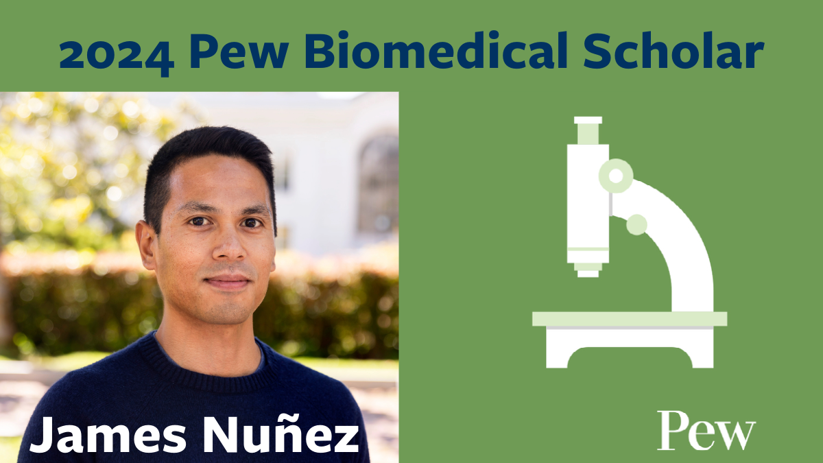 Nunez named Pew Biomedical Scholar 