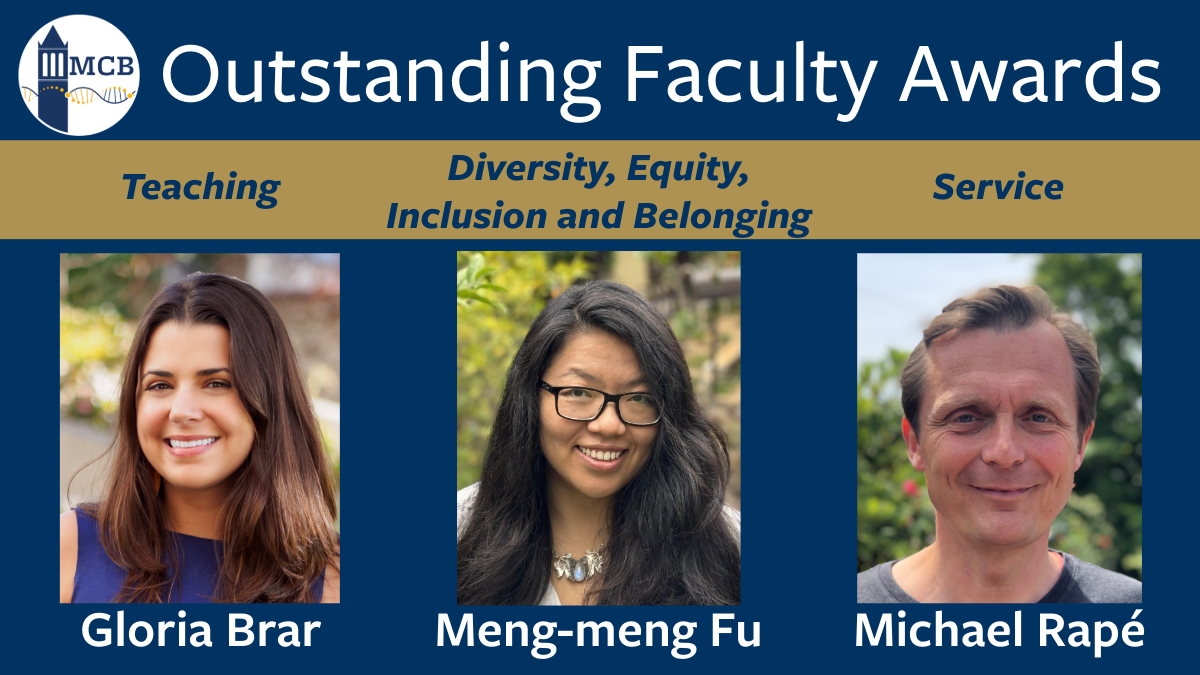 Brar, Fu and Rape: Outstanding Teaching Awards