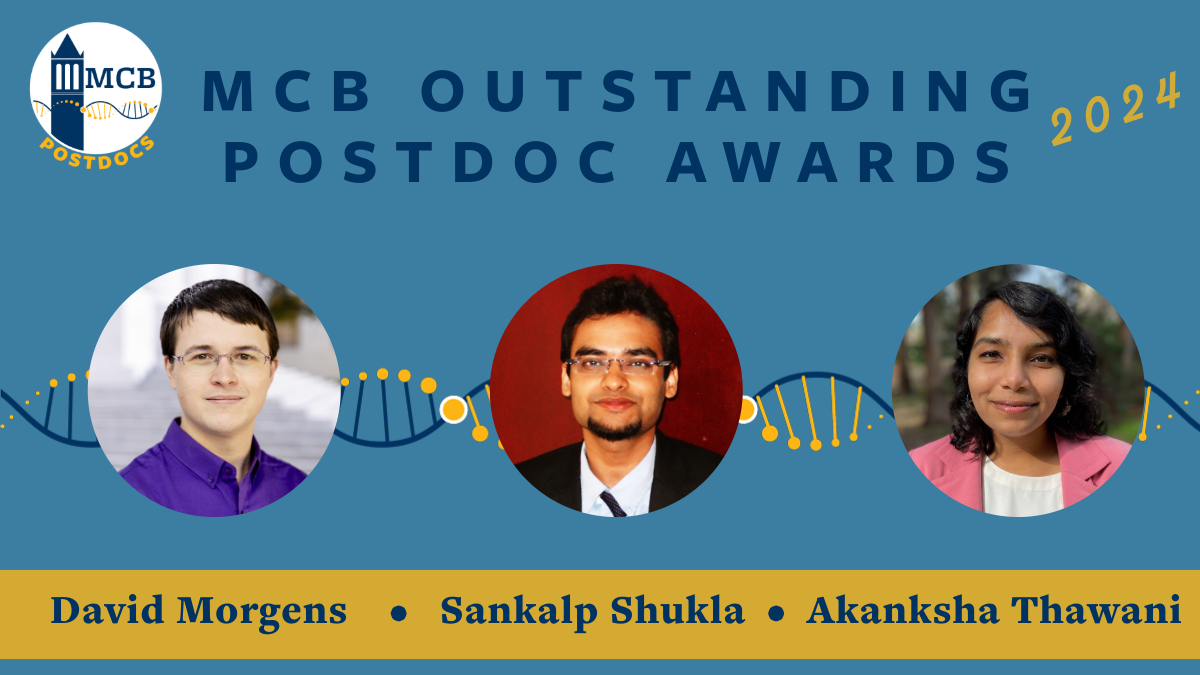 2024 Outstanding Postdoc Awards