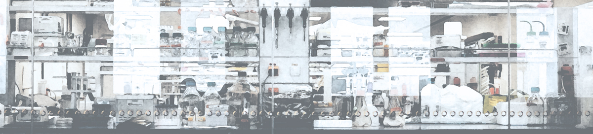 Lab bench and shelves above filled with equipment