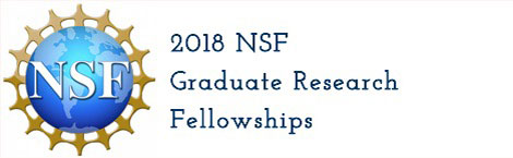 NSF Logo Banner