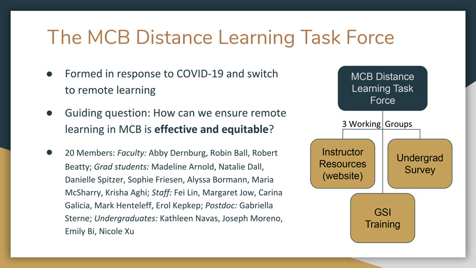 DistanceLearningTaskForce_TainingSlide