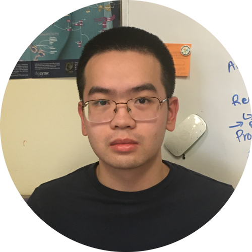 Dawson Chung, Harris Fellow