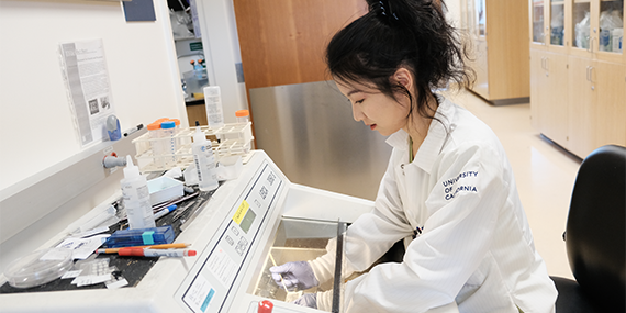 Xiaolin (Lindsay) Huang