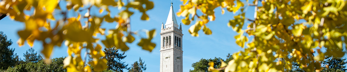 Campanile in fall