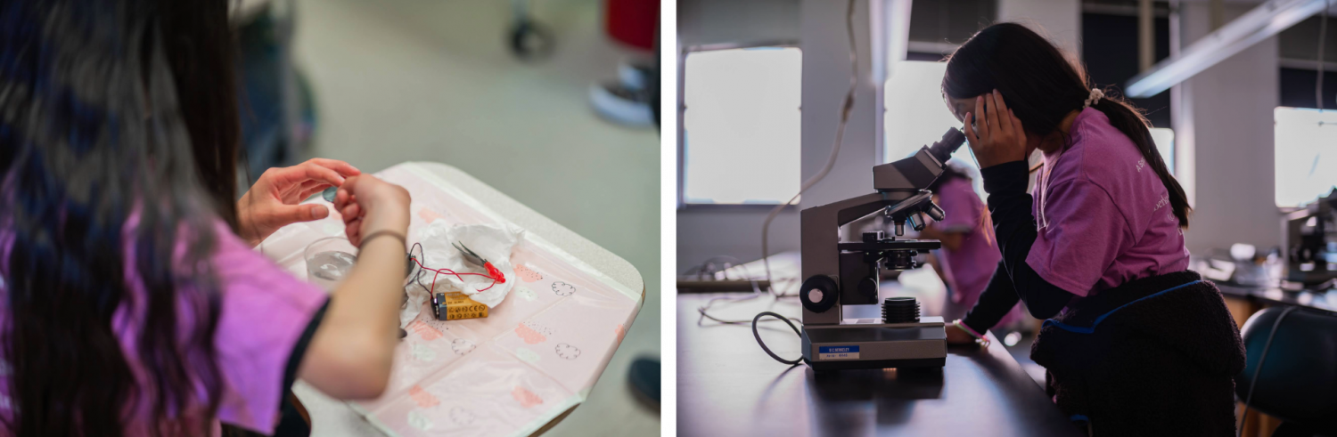 In the “Making 'Cents' of Electrochemistry,” students used electrical current from a battery to deposit zinc (a silver-colored metal) on the outside of a penny. In “Stress Test: Exploring the Science of Cell Survival,” students used microscopy and cell-staining reagents to explore how insect cells respond to everyday stressors by conducting experiments on insect cells.