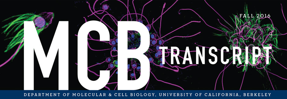 Fall 2016 MCB Transcript