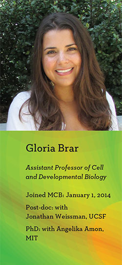 Gloria Brar