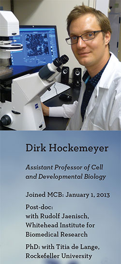 Dirk Hockemeyer