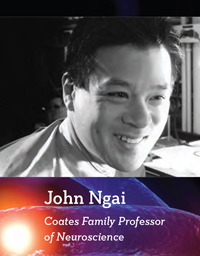 John Ngai