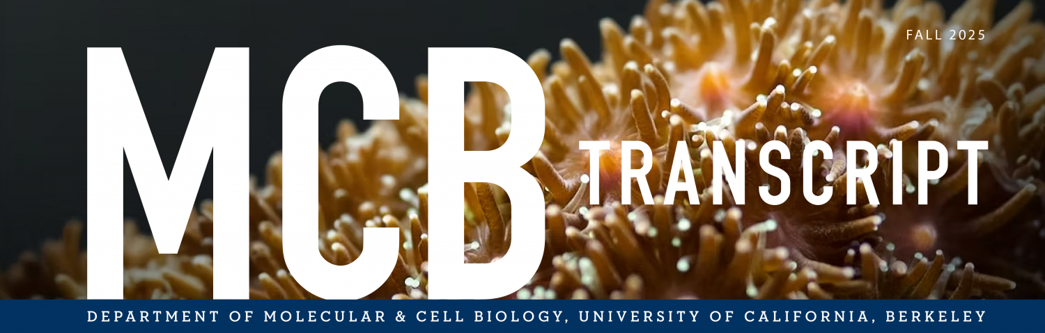 Galaxea fascicularis coral (Cleves Lab)