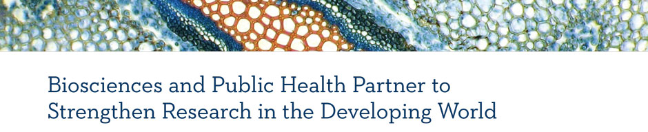 Global Health Banner