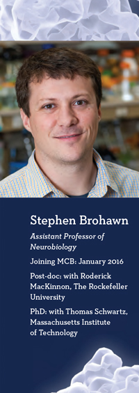 Stephen Brohawn