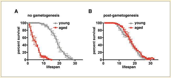 Ünal Research Graphic