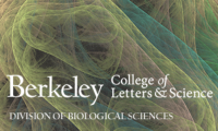 UC Berkeley College of Letters & Science